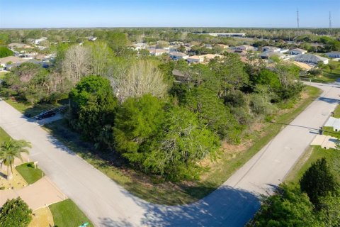 Land in Palm Coast, Florida № 1615320 - photo 7