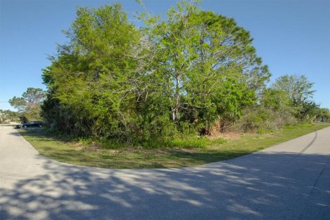 Land in Palm Coast, Florida № 1615320 - photo 3