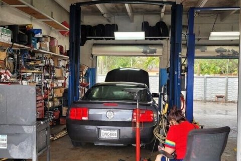 Immobilier commercial à vendre à Hialeah, Floride № 2060046 - photo 16