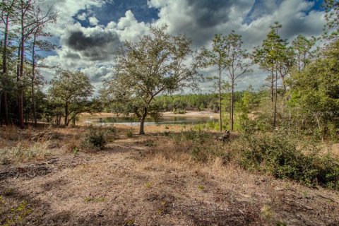 House in Hawthorne, Florida 3 bedrooms, 150.5 sq.m. № 1541838 - photo 5