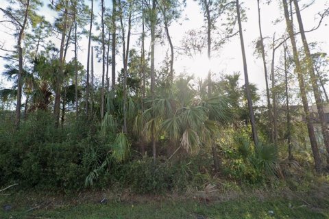 Terrain à Palm Coast, Floride № 2330899