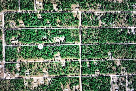 Land in Keystone Heights, Florida № 2165436