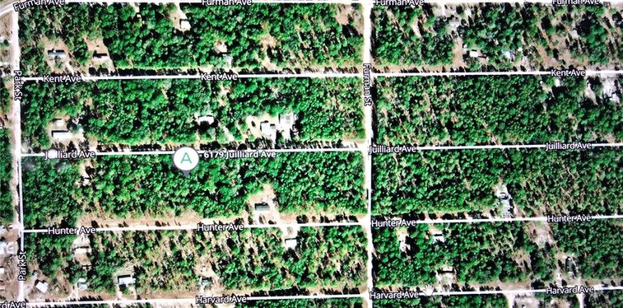 Land in Keystone Heights, Florida № 2165436