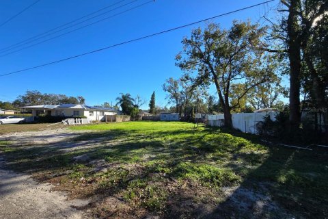 Terreno en Tampa, Florida № 2118178