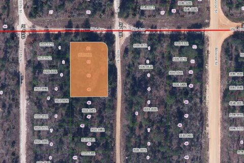 Land in Interlachen, Florida № 2160700 - photo 2