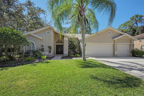 House in Oldsmar, Florida 3 bedrooms, 219.81 sq.m. № 2419653