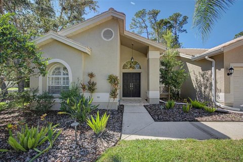 House in Oldsmar, Florida 3 bedrooms, 219.81 sq.m. № 2419653 - photo 18