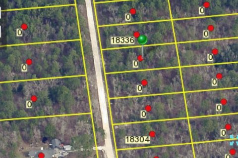 Terreno en venta en Weeki Wachee, Florida № 942066 - foto 1