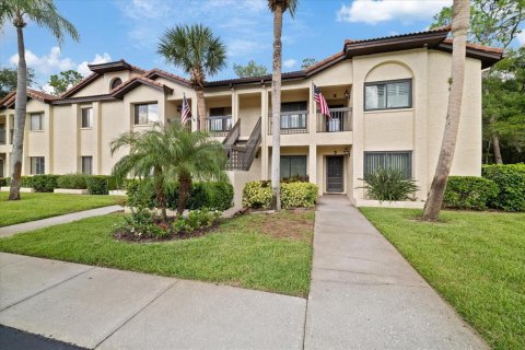 Condo in Palm Harbor, Florida, 2 bedrooms № 2361150