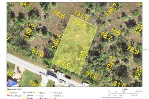 Land in Port Charlotte, Florida № 2159491 - photo 2