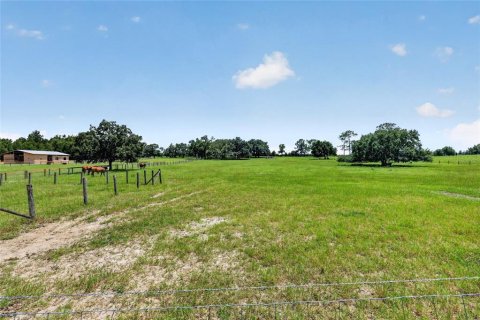Casa en venta en Morriston, Florida, 3 dormitorios, 225.29 m2 № 2296854 - foto 20