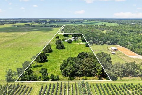 Villa ou maison à Morriston, Floride 3 chambres, 225.29 m2 № 2296854