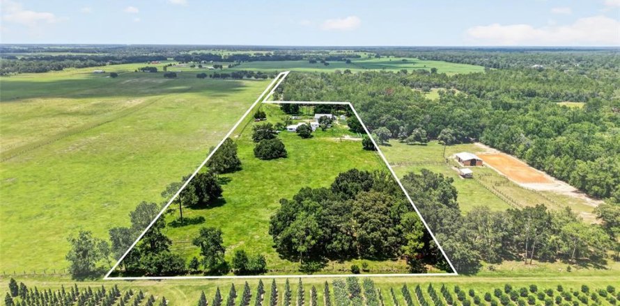 Casa en Morriston, Florida 3 dormitorios, 225.29 m2 № 2296854