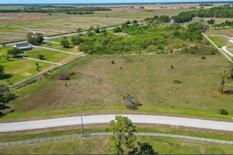 Land in Sarasota, Florida № 2104573 - photo 4