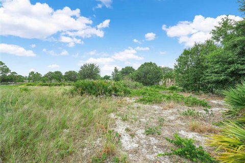Terreno en venta en Frostproof, Florida № 2217911 - foto 5