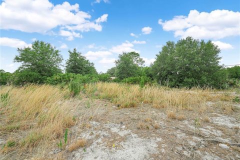 Terreno en venta en Frostproof, Florida № 2217911 - foto 6