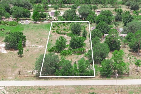 Terreno en Frostproof, Florida № 2217911