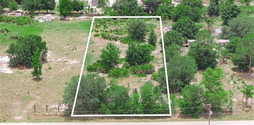 Terreno en Frostproof, Florida № 2217911