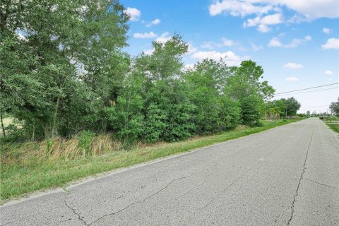 Terreno en venta en Frostproof, Florida № 2217911 - foto 3