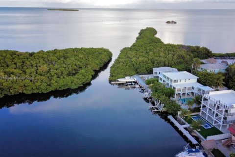 Villa ou maison à vendre à Tavernier, Floride: 5 chambres № 1951330 - photo 8