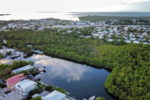 Villa ou maison à vendre à Tavernier, Floride: 5 chambres № 1951330 - photo 6
