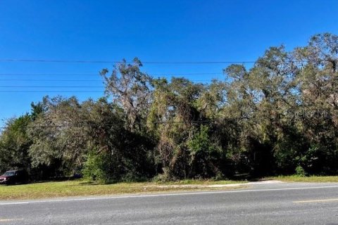 Immobilier commercial à vendre à Bell, Floride: 156.08 m2 № 1773501 - photo 3