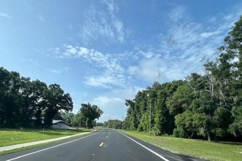 Immobilier commercial à vendre à Bell, Floride: 156.08 m2 № 1773501 - photo 12