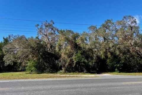 Immobilier commercial à vendre à Bell, Floride: 156.08 m2 № 1773501 - photo 4