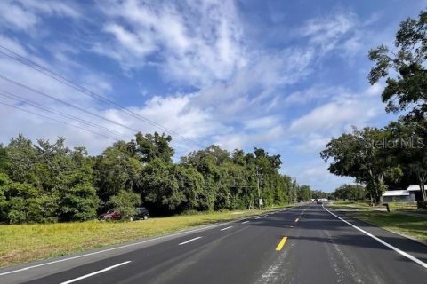 Immobilier commercial à vendre à Bell, Floride: 156.08 m2 № 1773501 - photo 1