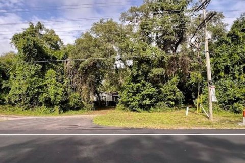 Immobilier commercial à vendre à Bell, Floride: 156.08 m2 № 1773501 - photo 11