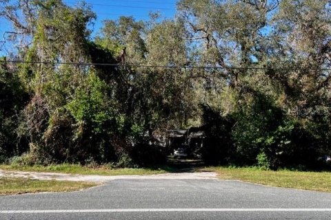 Immobilier commercial à vendre à Bell, Floride: 156.08 m2 № 1773501 - photo 6