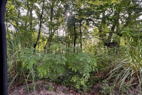 Immobilier commercial à vendre à Bell, Floride: 156.08 m2 № 1773501 - photo 8