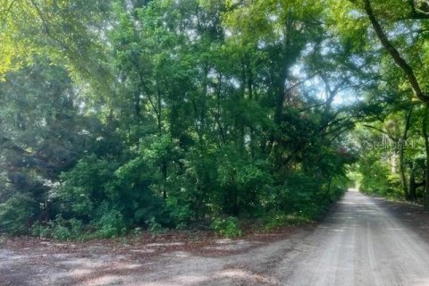 Immobilier commercial à vendre à Bell, Floride: 156.08 m2 № 1773501 - photo 7