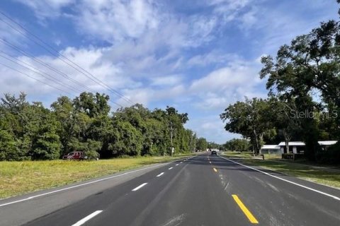 Immobilier commercial à vendre à Bell, Floride: 156.08 m2 № 1773501 - photo 9