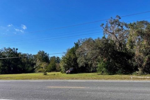 Immobilier commercial à vendre à Bell, Floride: 156.08 m2 № 1773501 - photo 5