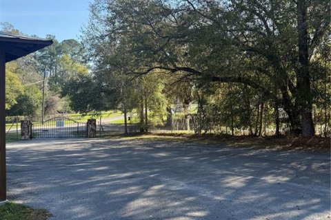 Immobilier commercial à louer à Williston, Floride: 66.89 m2 № 2115154 - photo 22