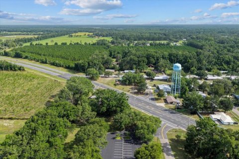 Land in Chiefland, Florida № 1801470 - photo 6