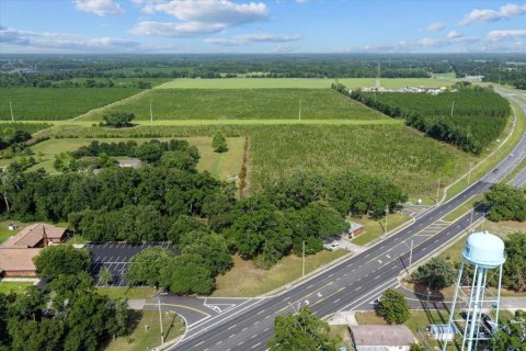 Land in Chiefland, Florida № 1801470 - photo 9