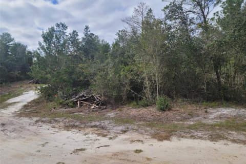 Terreno en venta en DeLand, Florida № 824554 - foto 7