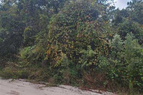 Terreno en venta en DeLand, Florida № 824554 - foto 6