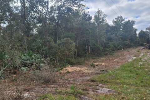 Terreno en venta en DeLand, Florida № 824554 - foto 2