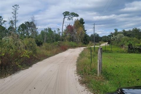 Terreno en venta en DeLand, Florida № 824554 - foto 5