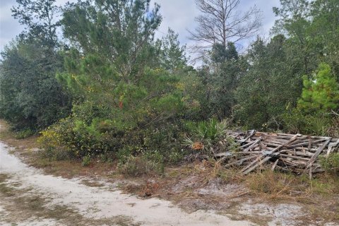 Terreno en venta en DeLand, Florida № 824554 - foto 3