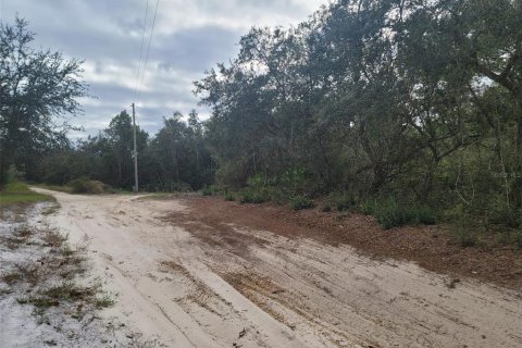 Terreno en venta en DeLand, Florida № 824554 - foto 1