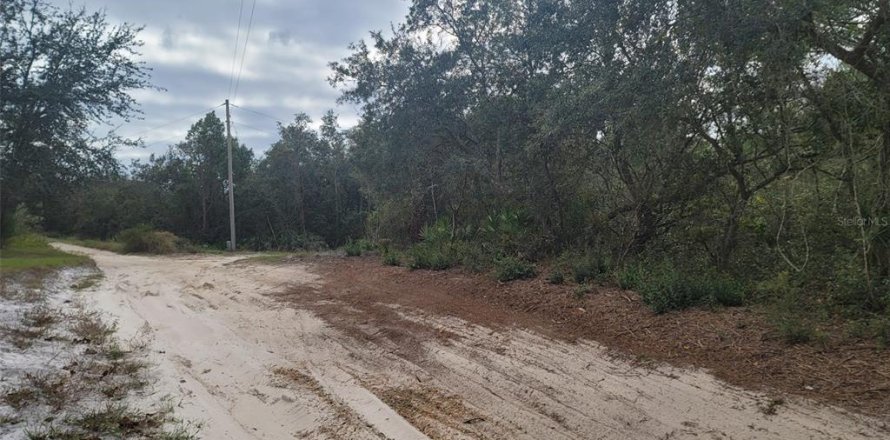 Terreno en DeLand, Florida № 824554