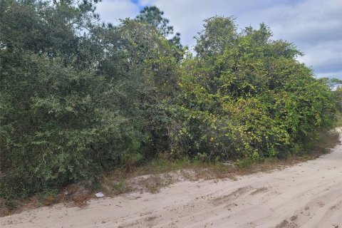 Terreno en venta en DeLand, Florida № 824554 - foto 8