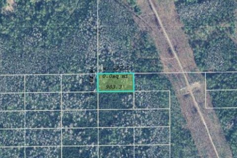 Land in Orlando, Florida № 2218724 - photo 3