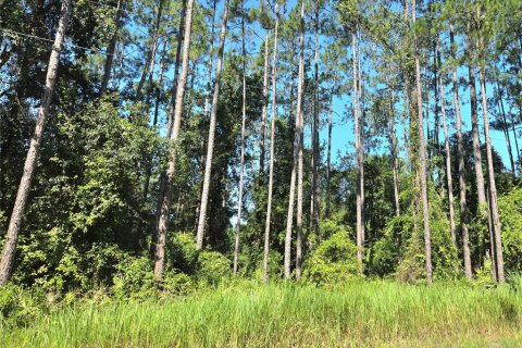 Land in Fort MC Coy, Florida № 1850024 - photo 3