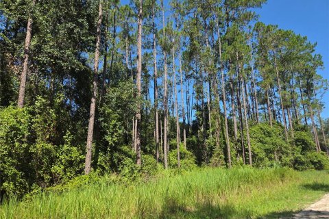 Land in Fort MC Coy, Florida № 1850024 - photo 2