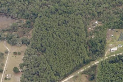Land in Fort MC Coy, Florida № 1850024 - photo 12